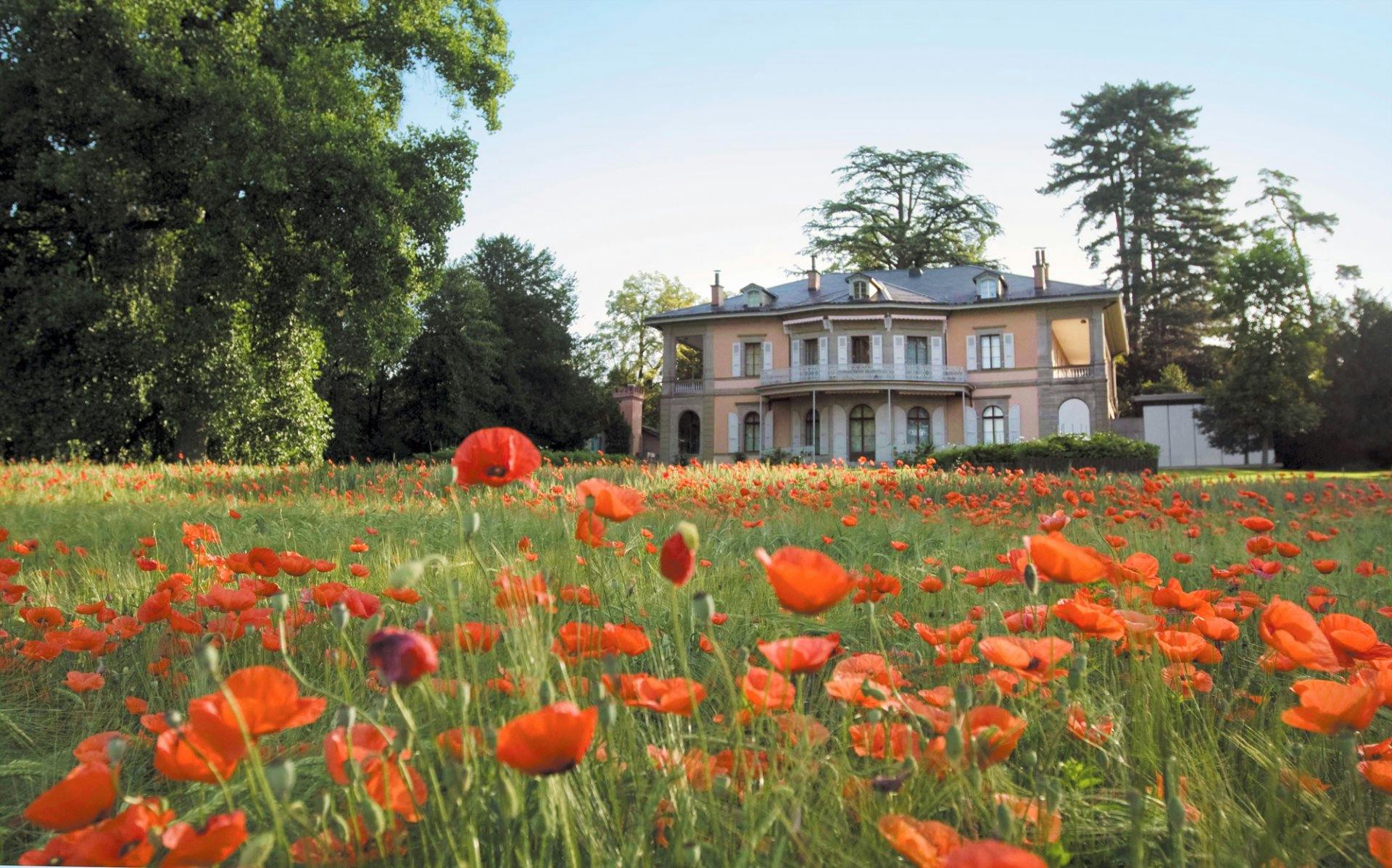 Du 27 janvier au 29 mai, la Fondation de l'Hermitage consacre une grande rétrospective à l'artiste Léon Spilliaert.