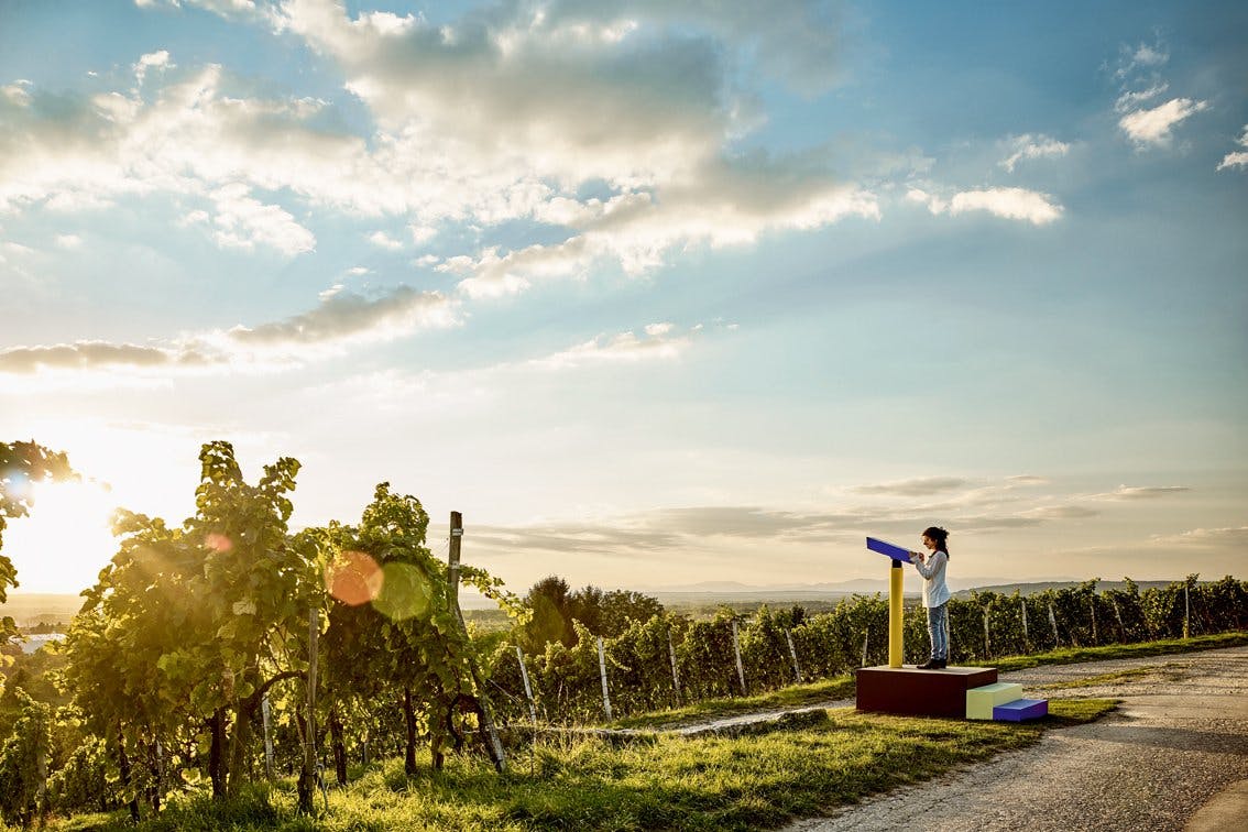 On peut profiter du panorama grâce à ces jumelles.