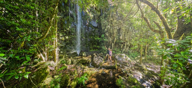 Rien de tel qu'une randonnée pour découvrir la nature préservée de l'île et sa végétation exotique omniprésente.