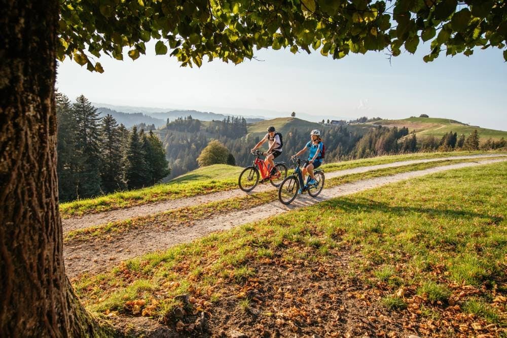 Endlich ist der Frühling da! Die perfekte Zeit, um eine Velotour zu planen.