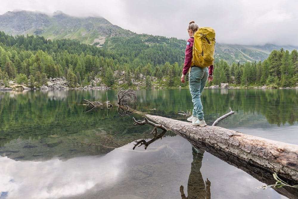 La forêt est bénéfique: s'y rendre c'est se faire du bien, à l'esprit et au corps.