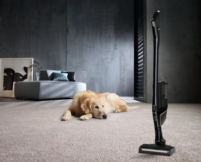 Entfernt Tierhaare im Nu: Der