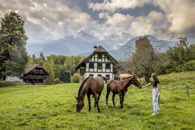 Pendant la saison d'ouverture, plus de 200 animaux de ferme peuplent le musée en plein air.