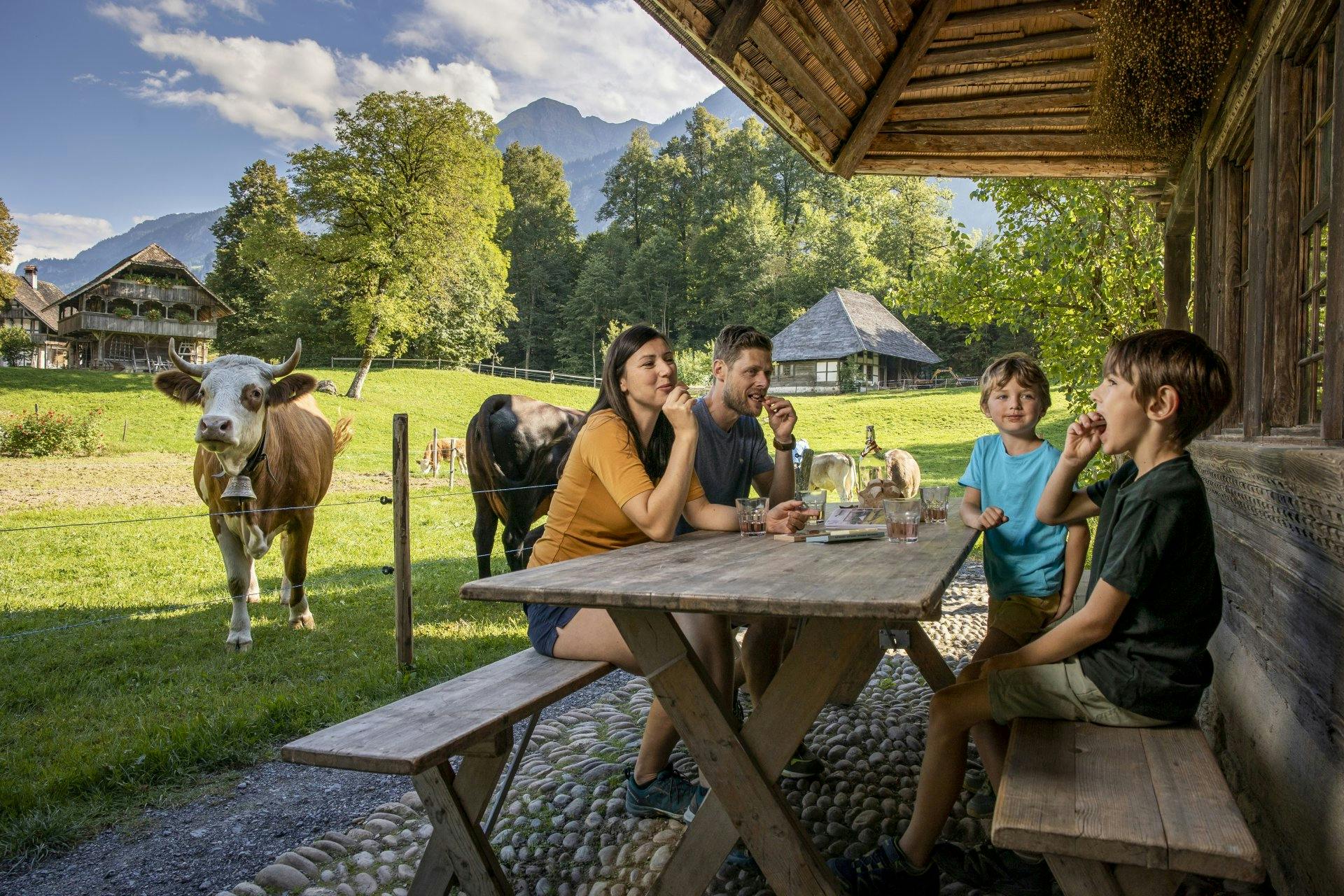 Une pause dans la nature: c'est possible à tout moment au musée en plein air.