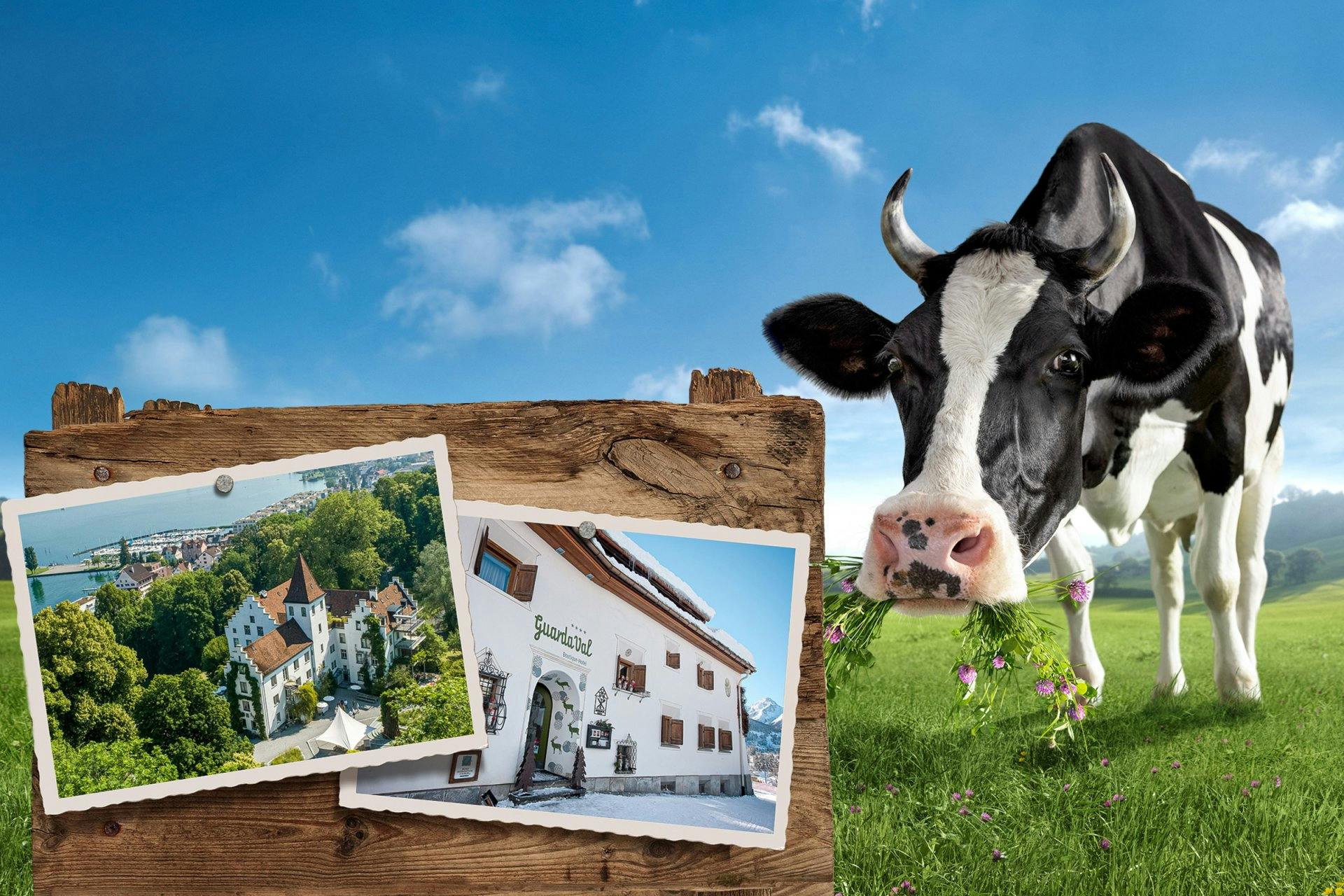 Tu penses être incollable sur le lait suisse? Alors à toi de jouer!