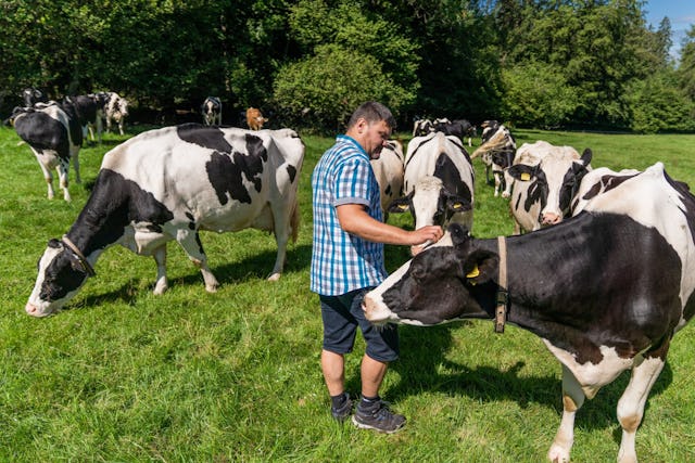 Marc Fragnière a testé le métier d'éleveur pendant sa visite à Cugy (VD). Marc Fragnière a testé le métier d'éleveur pendant sa visite à Cugy (VD).