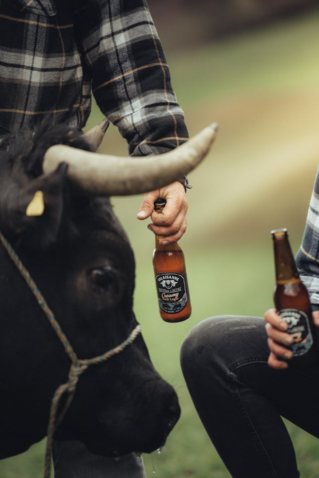 Forte de caractère et fière: des attributs qui ne sont pas seulement attribués aux vaches d'Hérens, mais aussi aux bières Valaisanne.