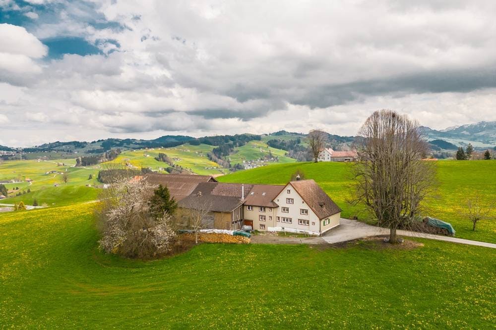 Au cœur de l’idyllique campagne appenzelloise se trouve la ferme accueillante que la famille Stricker exploite depuis plus de 100 ans.