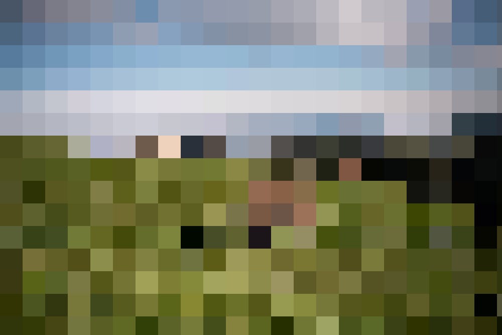 Auslauf finden die 30 Kühe auf den umliegenden grünen Wiesen genug – Panorama inklusive!