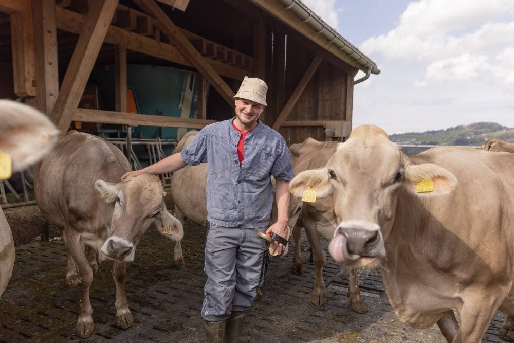 «Si tu es bon avec la vache, elle l'est aussi avec toi», dit Tobias Stricker.