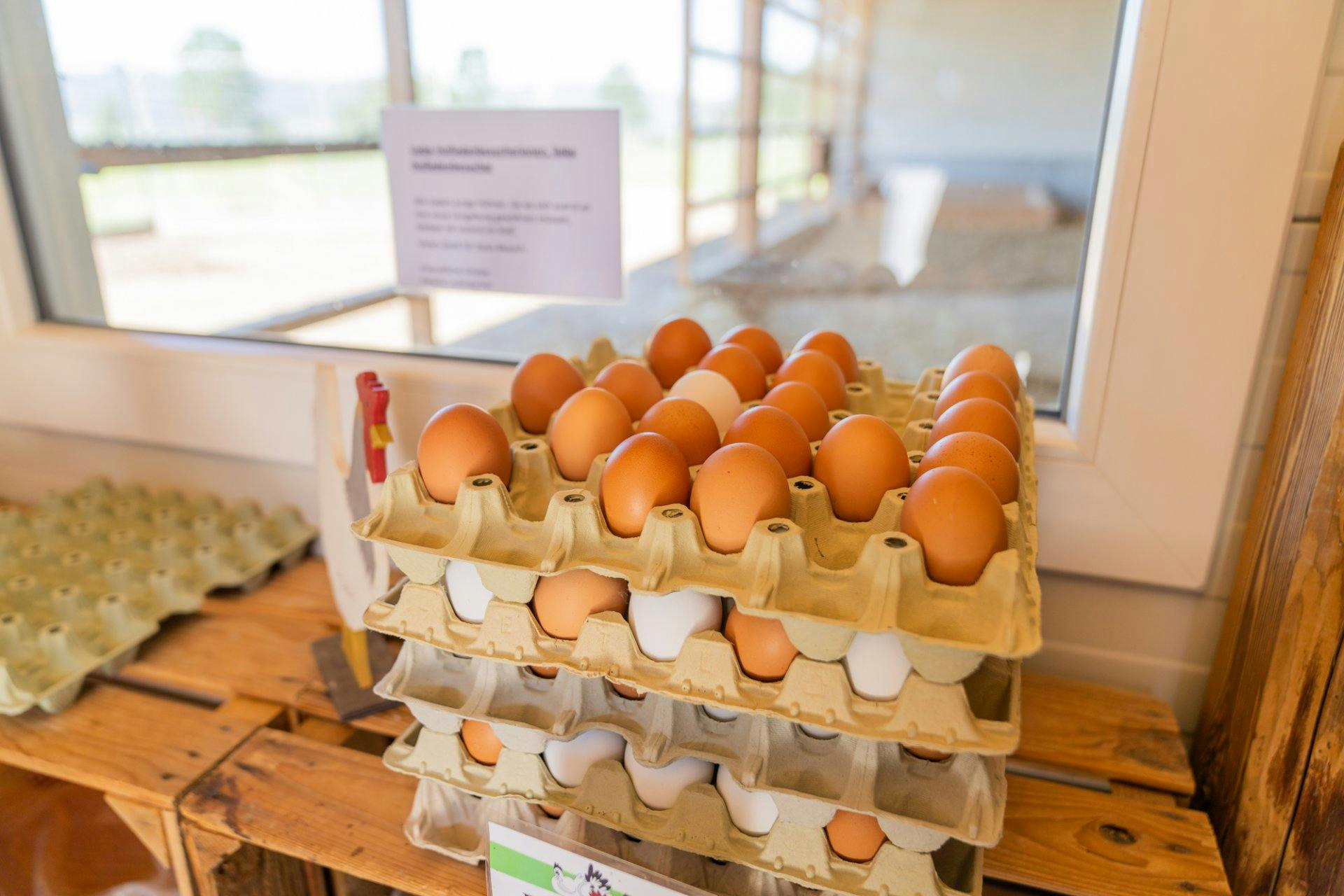 Die Eier im Hofladen stammen von den eigenen Hühnern.