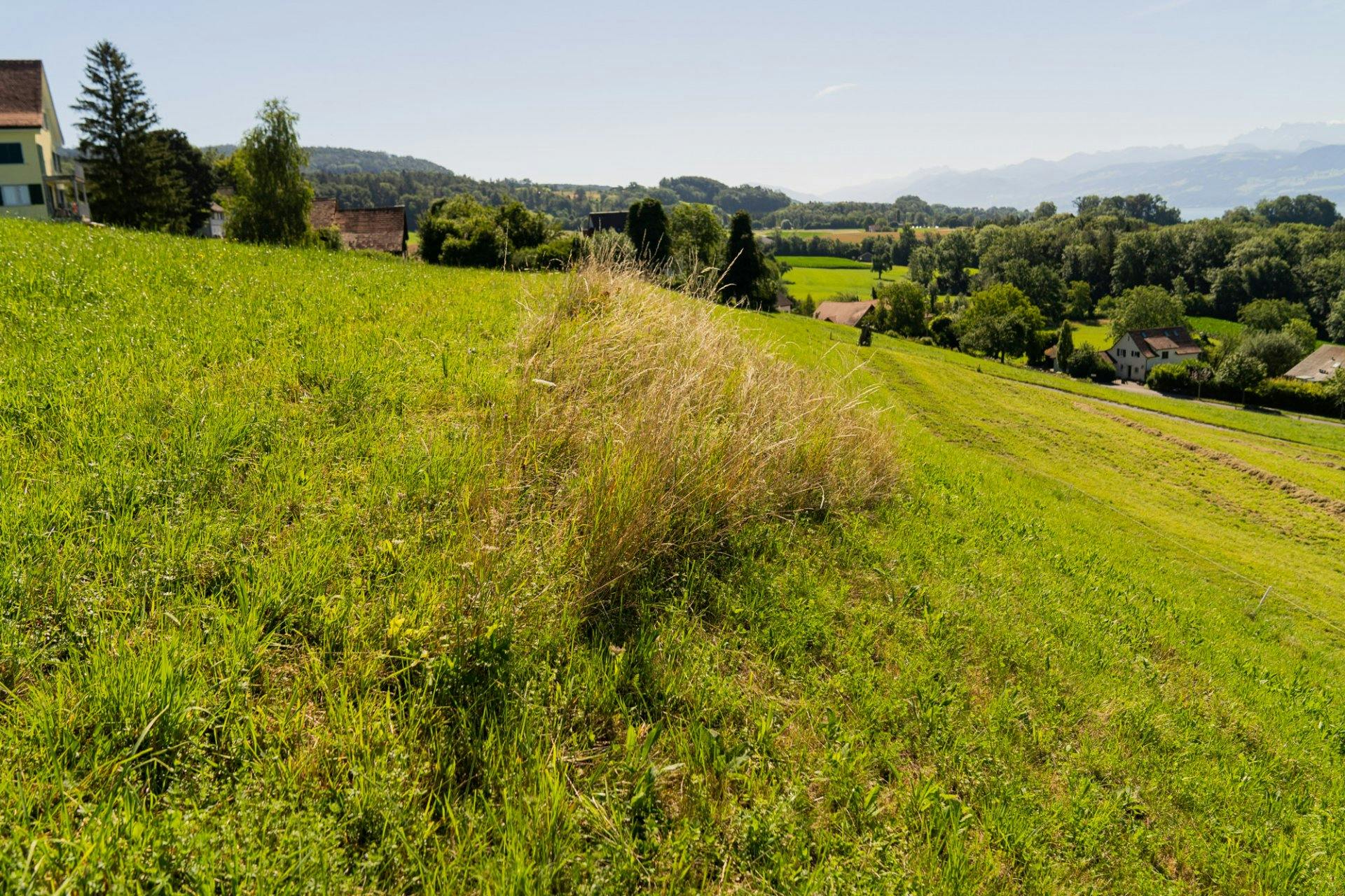 An besonders abschüssigen Stellen finden sich ökologische Ausgleichsflächen.