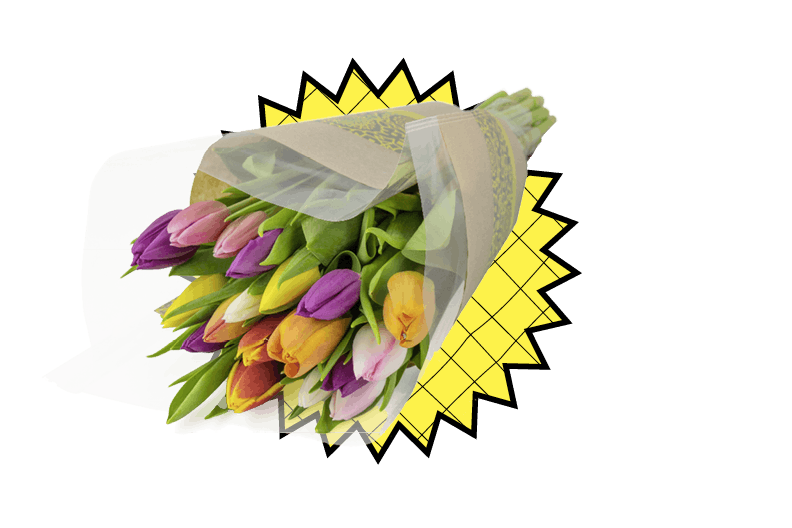 Les fleurs parlent d’elles-mêmes: tulipes mélangées, 14.95 francs / 18 pièces, Coop