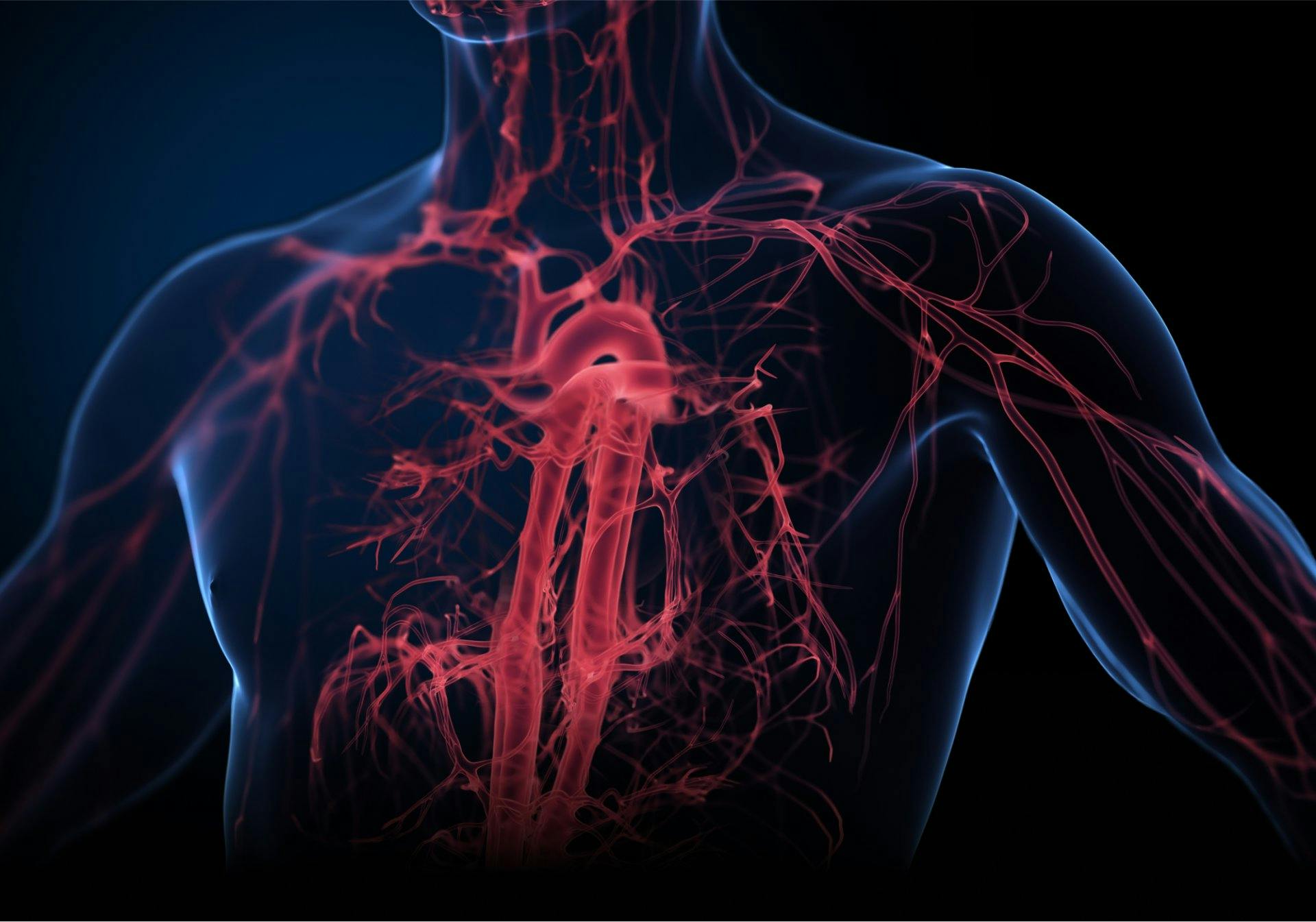 Achtung: Vitamin-B12-Mangel kann sich auf das Nervensystem auswirken!