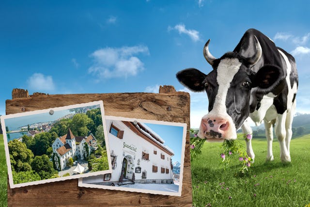 Weisst du alles über Schweizer Milch? Finde es heraus! Weisst du alles über Schweizer Milch? Finde es heraus!