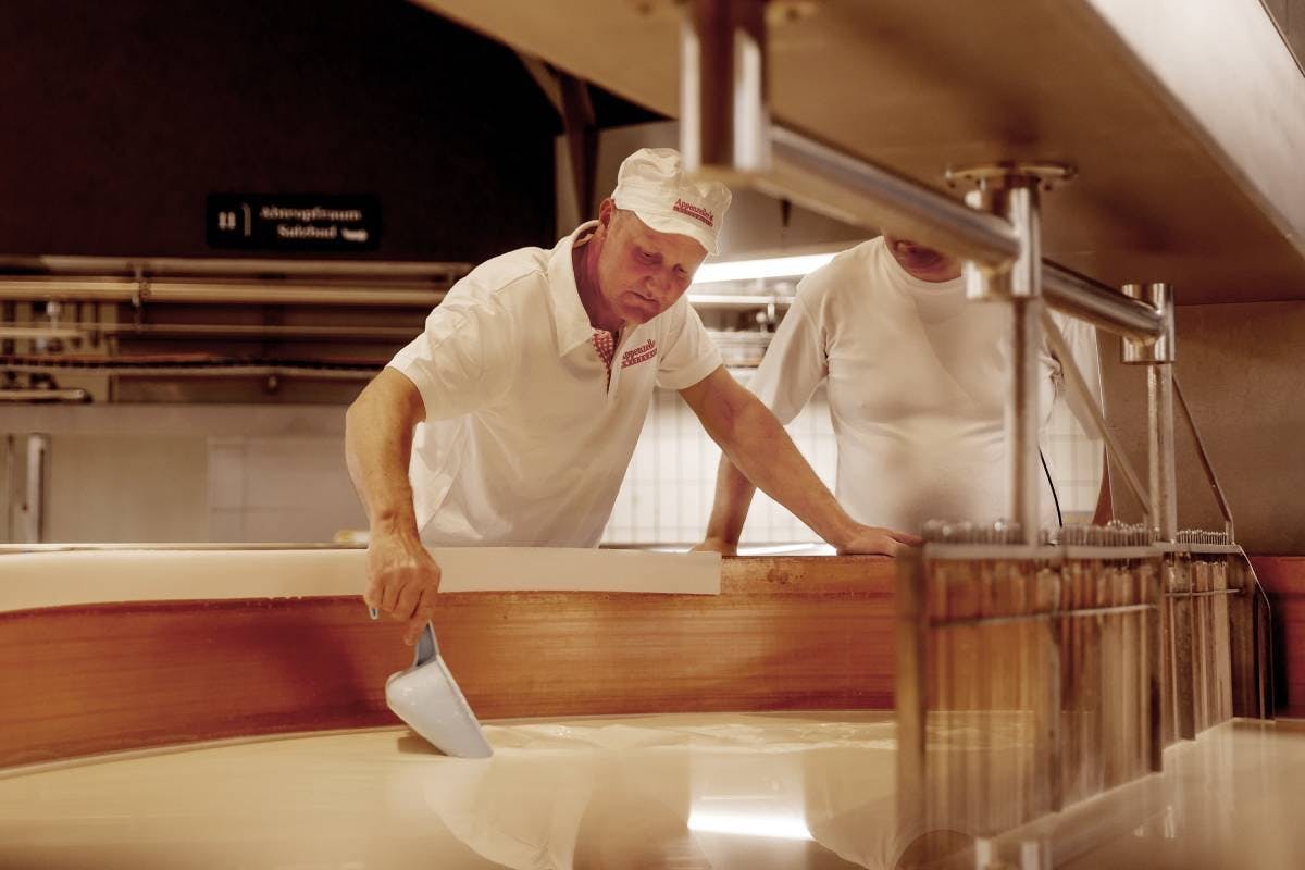 Käsemeister Urs prüft die Dicke der Milch, nachdem sie von der Käseharfe in Stücke geschnitten wurde.