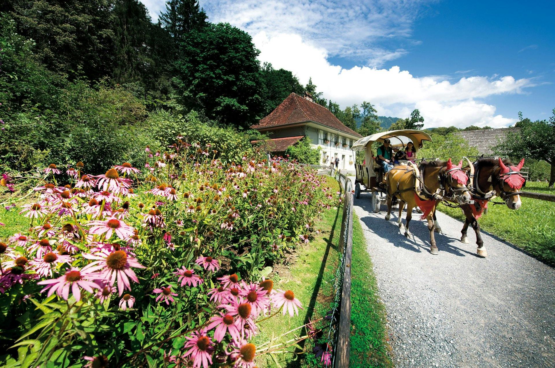 Le musée de l'habitat rural de Ballenberg offre un aperçu des anciennes traditions suisses.