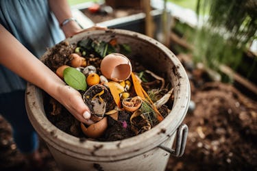 Valoriser les épluchures