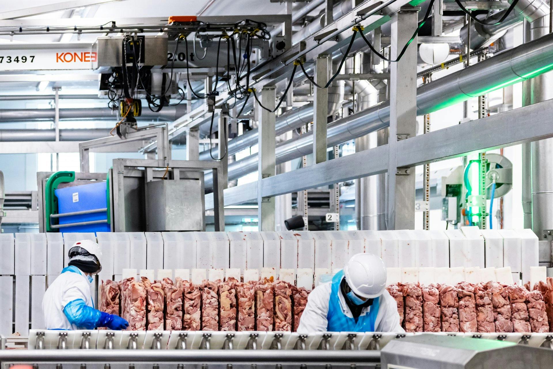 Frischfleisch für Schweizer Teller: Bei der Swiss Nutrivalor wird Rindfleisch...
