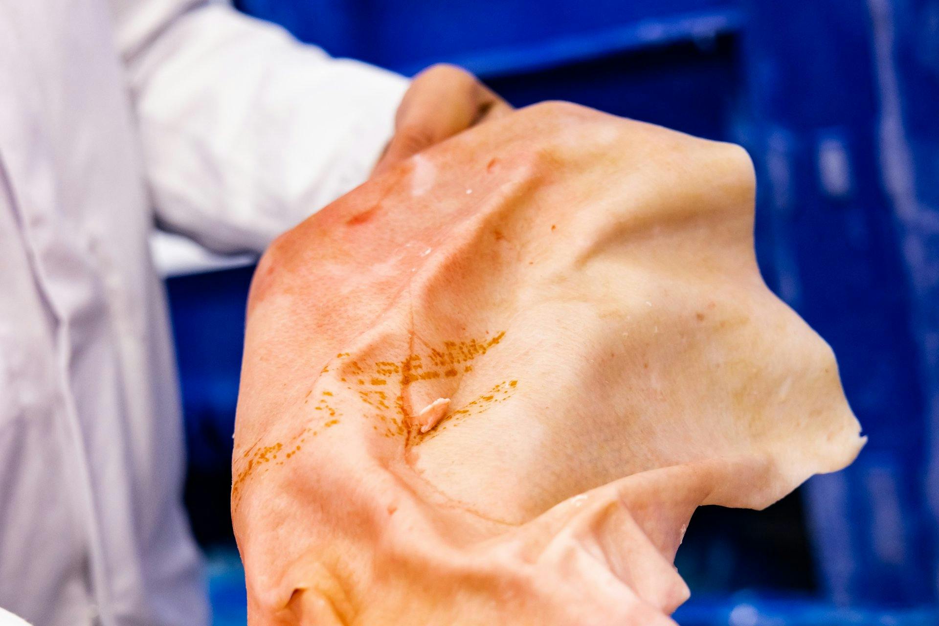 Rohstoff für viele Produkte, beispielsweise Fruchtgummi: Aus der Schweinsschwarte wird Kollagen und Gelatine gewonnen.