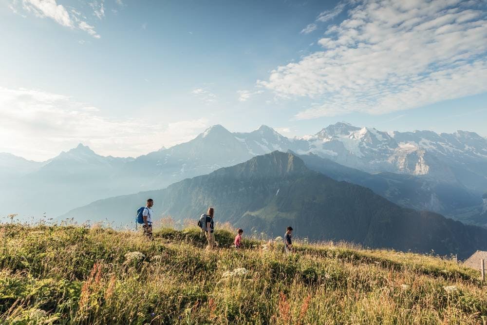 Lass dich von der Panoramawanderung auf der Schynige Platte faszinieren.