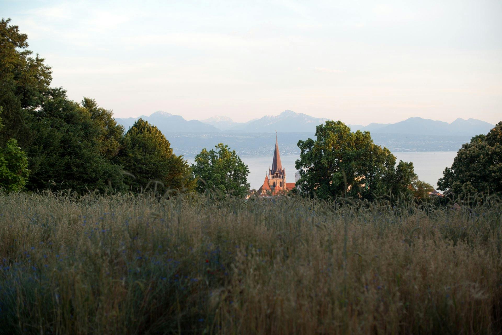 Tu es plutôt du matin? Profite d'un délicieux brunch suivi d'une visite commentée de l'exposition.