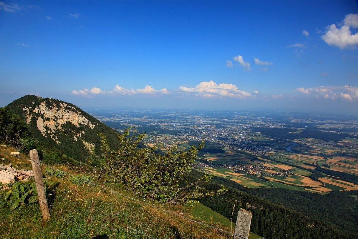 Du entdeckst über 200 Pflanzenarten im Juragarten.