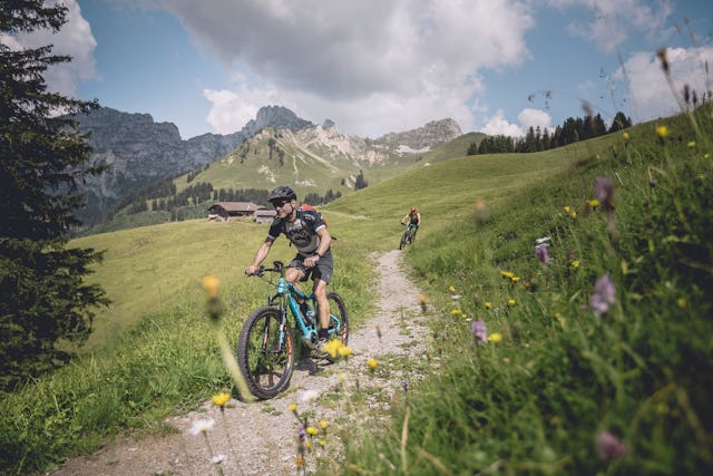 Pendant l'été, rien de tel qu'une randonnée à vélo pour faire un peu d'activité physique en plein air! Pendant l'été, rien de tel qu'une randonnée à vélo pour faire un peu d'activité physique en plein air!