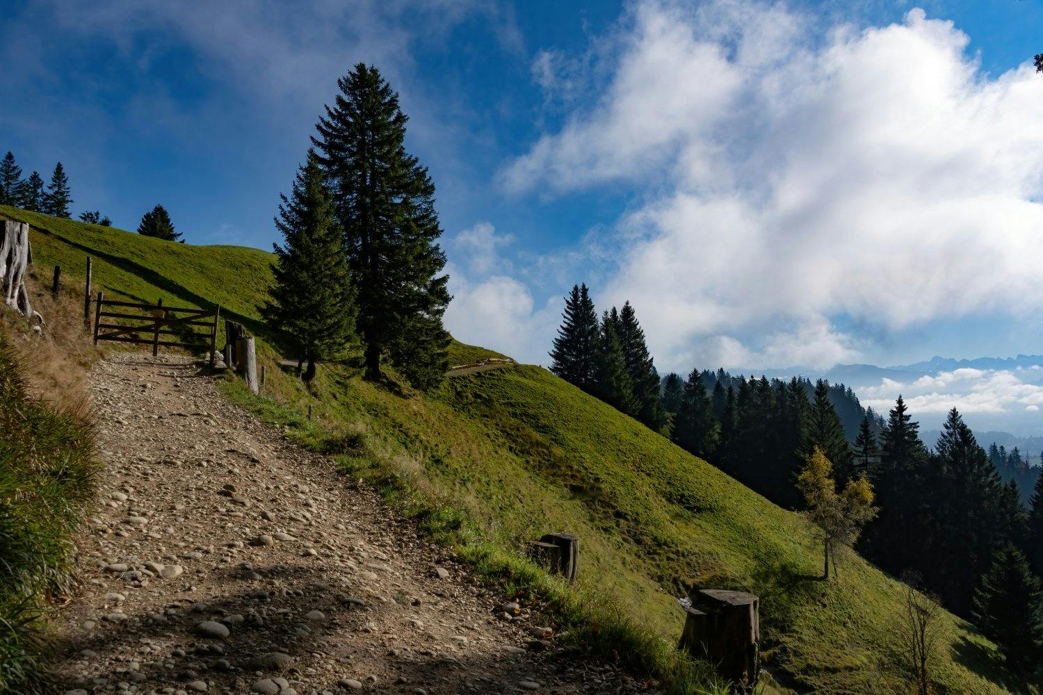 Auf der wunderschönen Wanderung geniesst du den Ausblick vom Jura bis zur Alpenkette.
