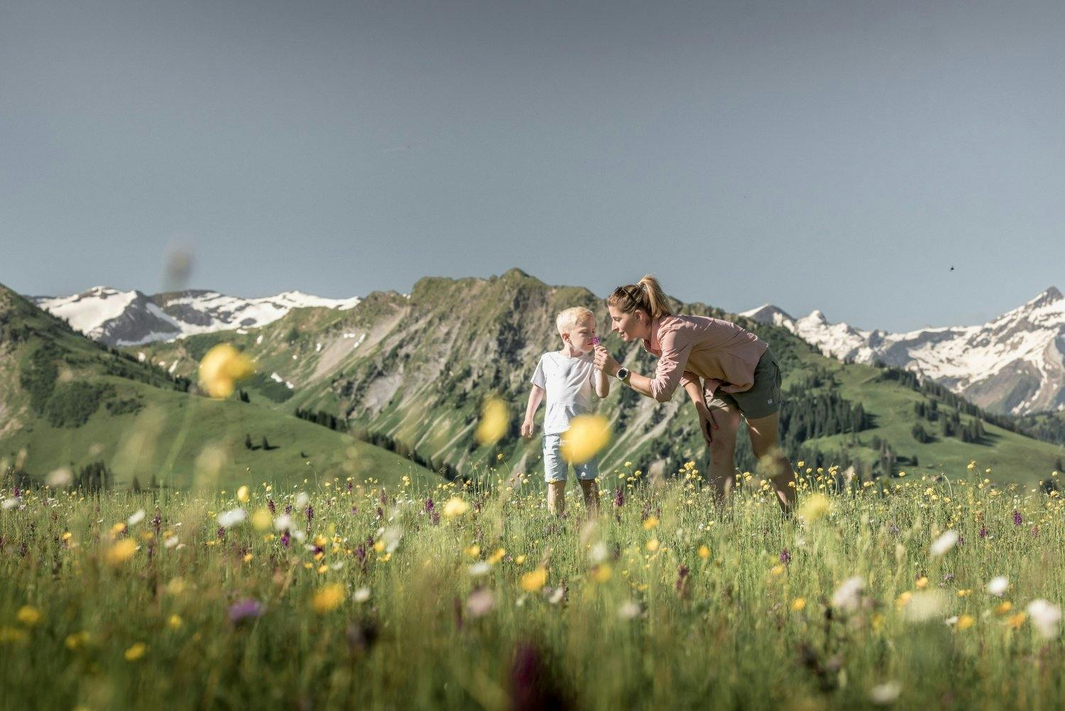 .... und lass dich von der Bergwelt sowie der grünen Wiesen und Bergseen verzaubern.
