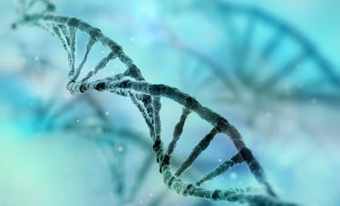 Mittels DNA-Sequenzierung  zur personalisierten Krebstherapie