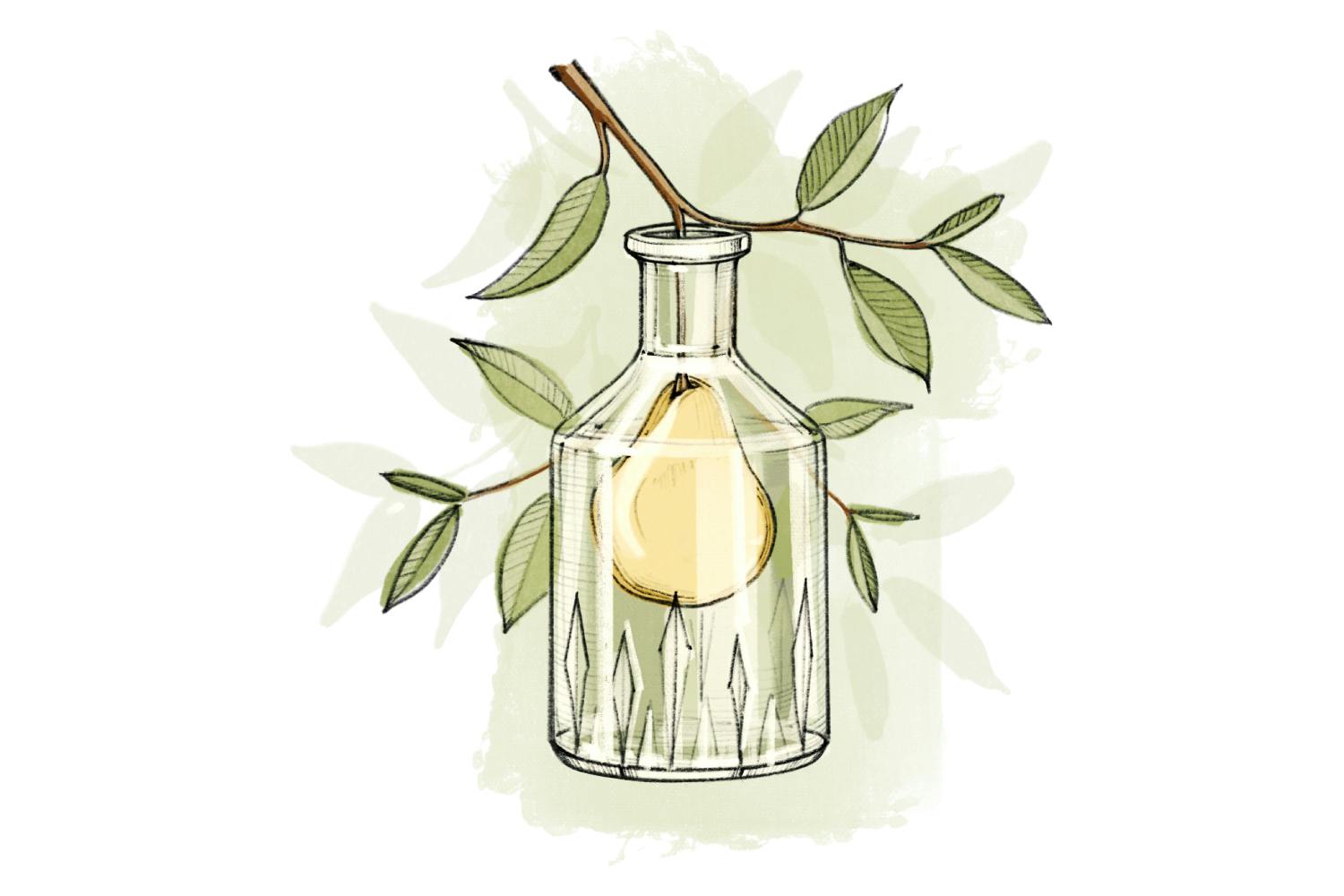 W come Williamine: La pera Williams, chiamata anche pera «Williams' bon chrétien», è la regina delle pere e inconfondibile nel suo gusto: il frutto ha...