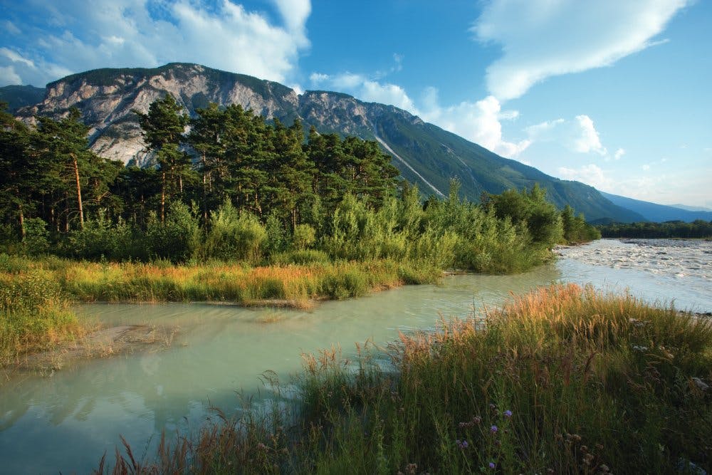 Le Parc naturel Pfyn-Finges est un véritable oasis de nature!