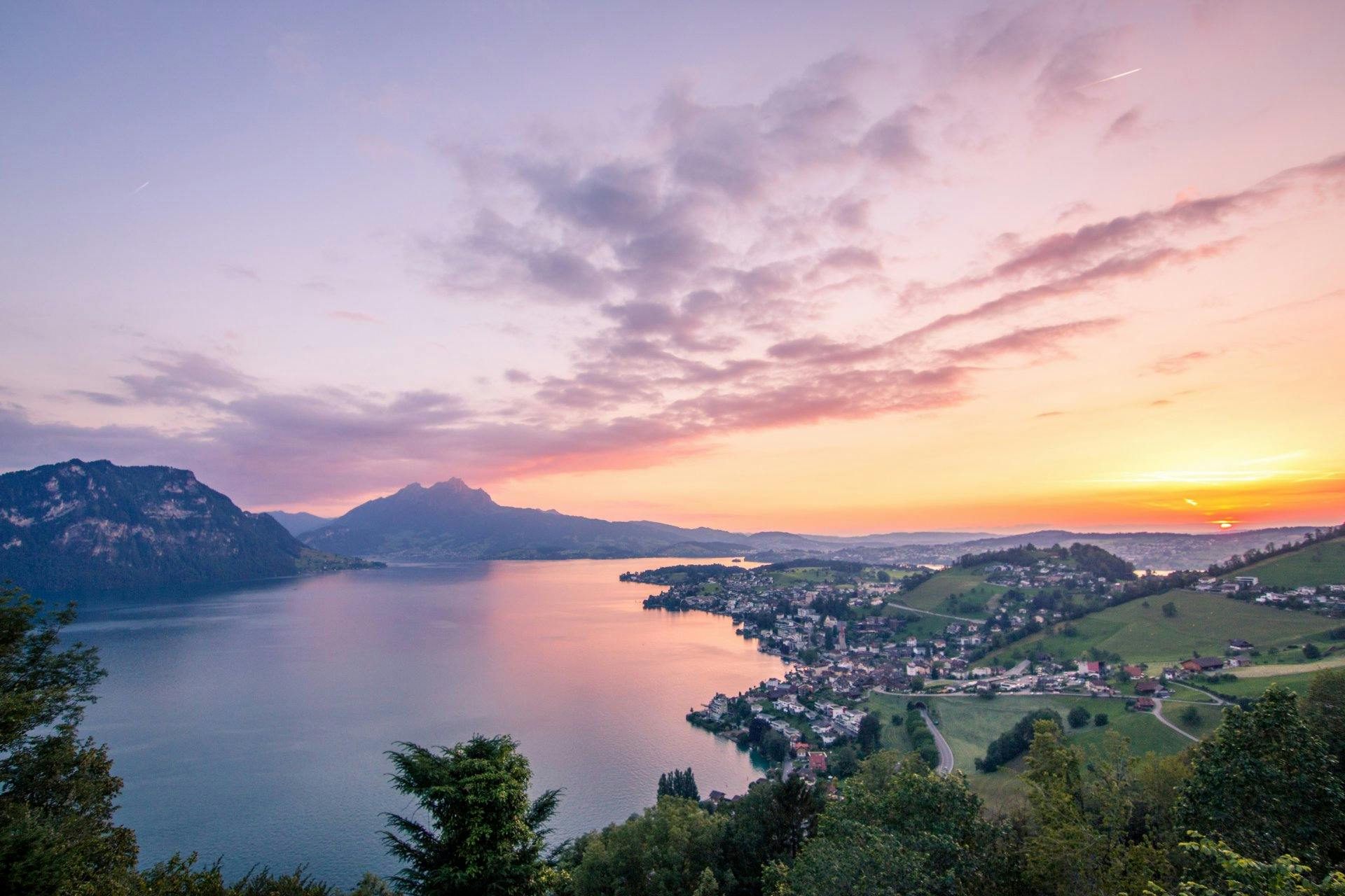 Grâce à la douceur du climat, les plantes méditerranéennes bordent les rives du lac entre Weggis et Vitznau.