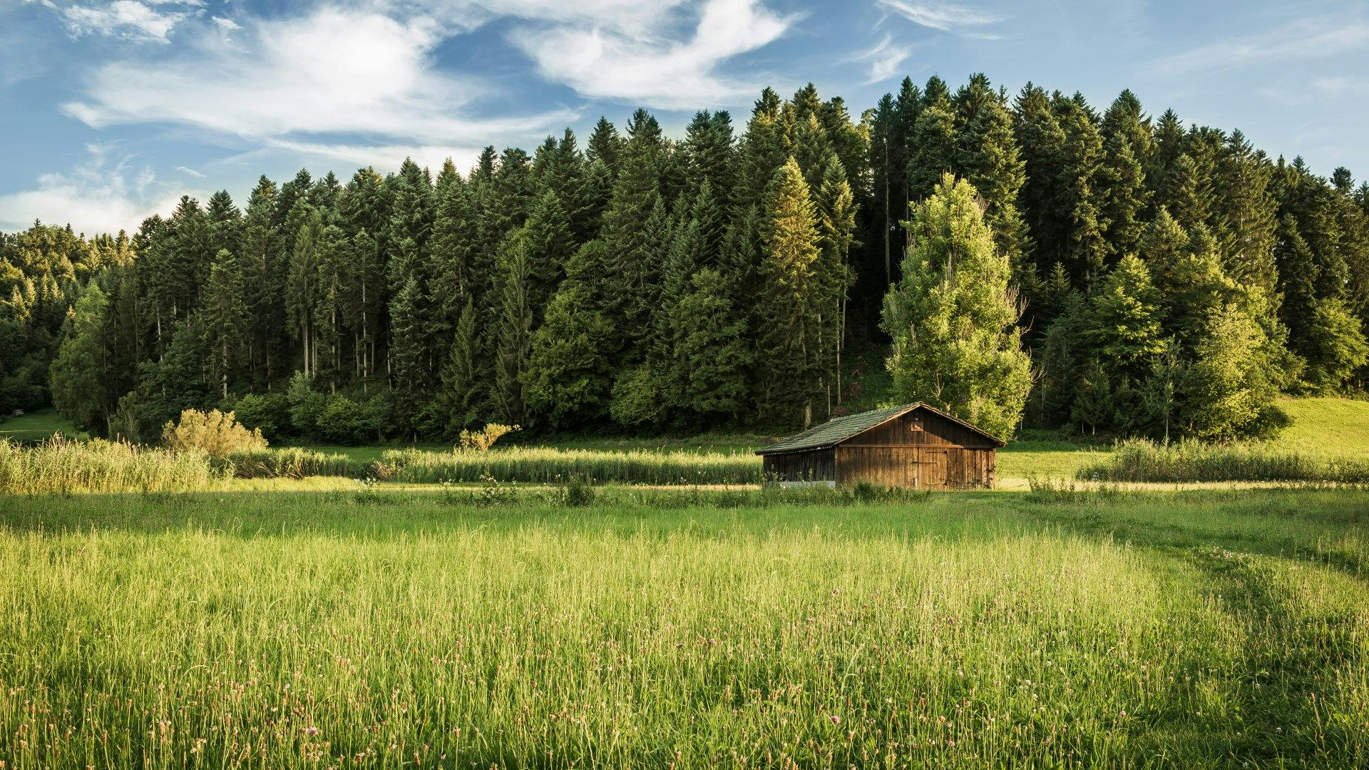 Les pittoresques étangs de l'Ostergau sont situés à l'est de la petite ville de Willisau.