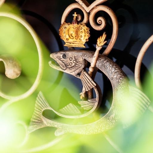 Der Ruf des exquisiten Räucherlachses von BALIK erstrahlt weltweit.