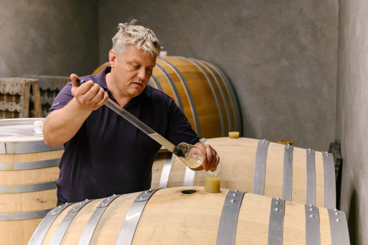 Weingenuss im Traditionsbetrieb der Familie Hoop.