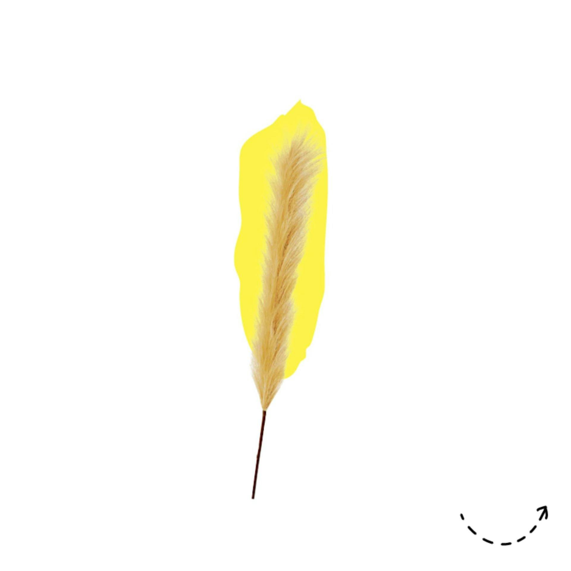 Travestiti da Titeuf: fiore artificiale Flower, erba di pampa, 113 cm, fr. 12.95, su livique.ch.