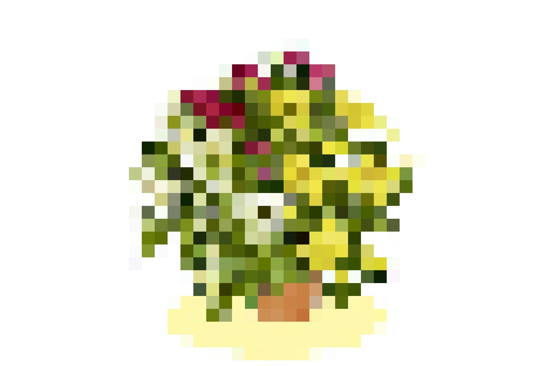 Fiori dai colori autunnali: crisantemi perenni «Trio», 4 fr. 95, da Jumbo.