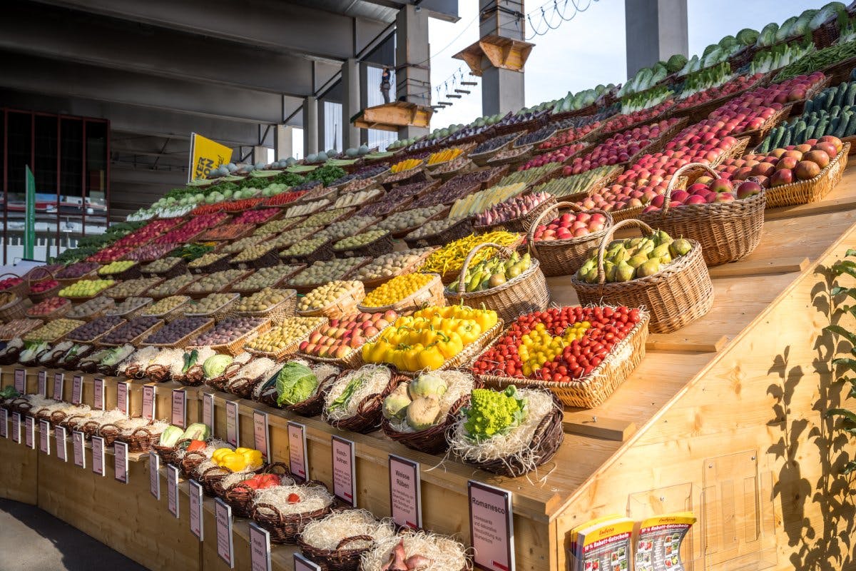 Gesund, gesünder, OLMA!