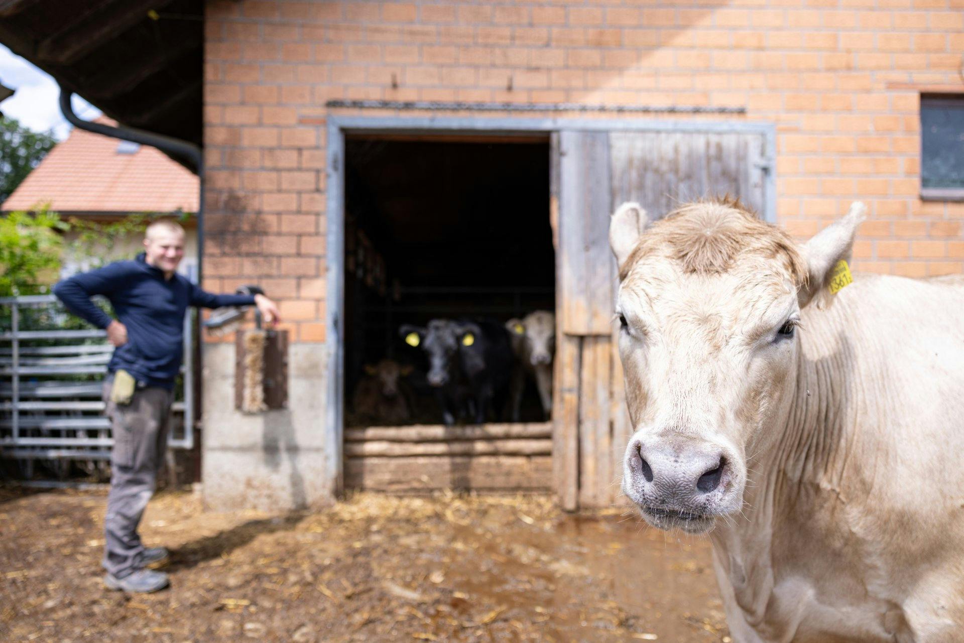L’agriculteur Lukas Wittmer, 27 ans, est convaincu par la production alimentaire indigène.