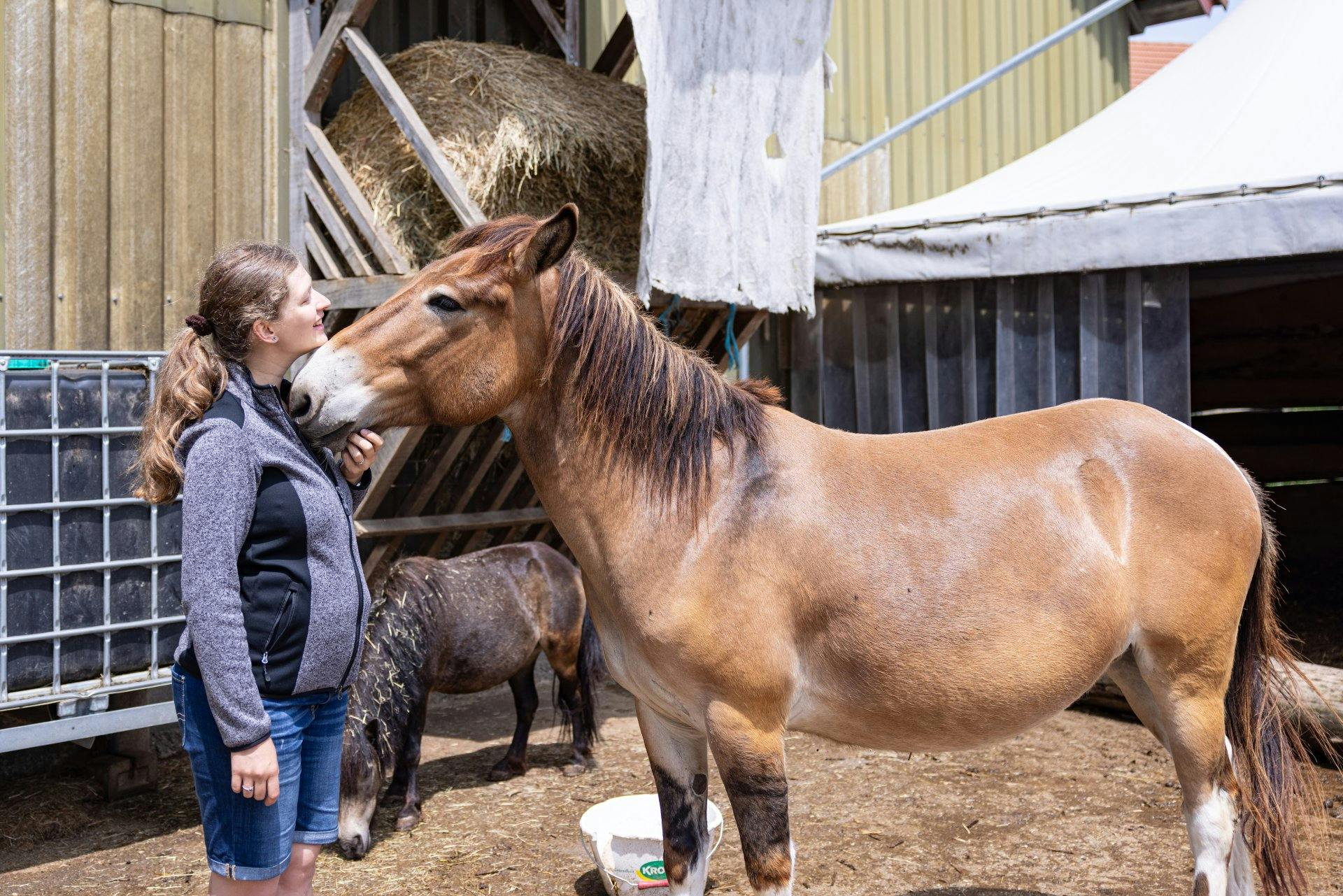 Lara Wittmer, éducatrice de la petite enfance de formation, dirige un groupe de jeu et propose des promenades à dos de mulet.