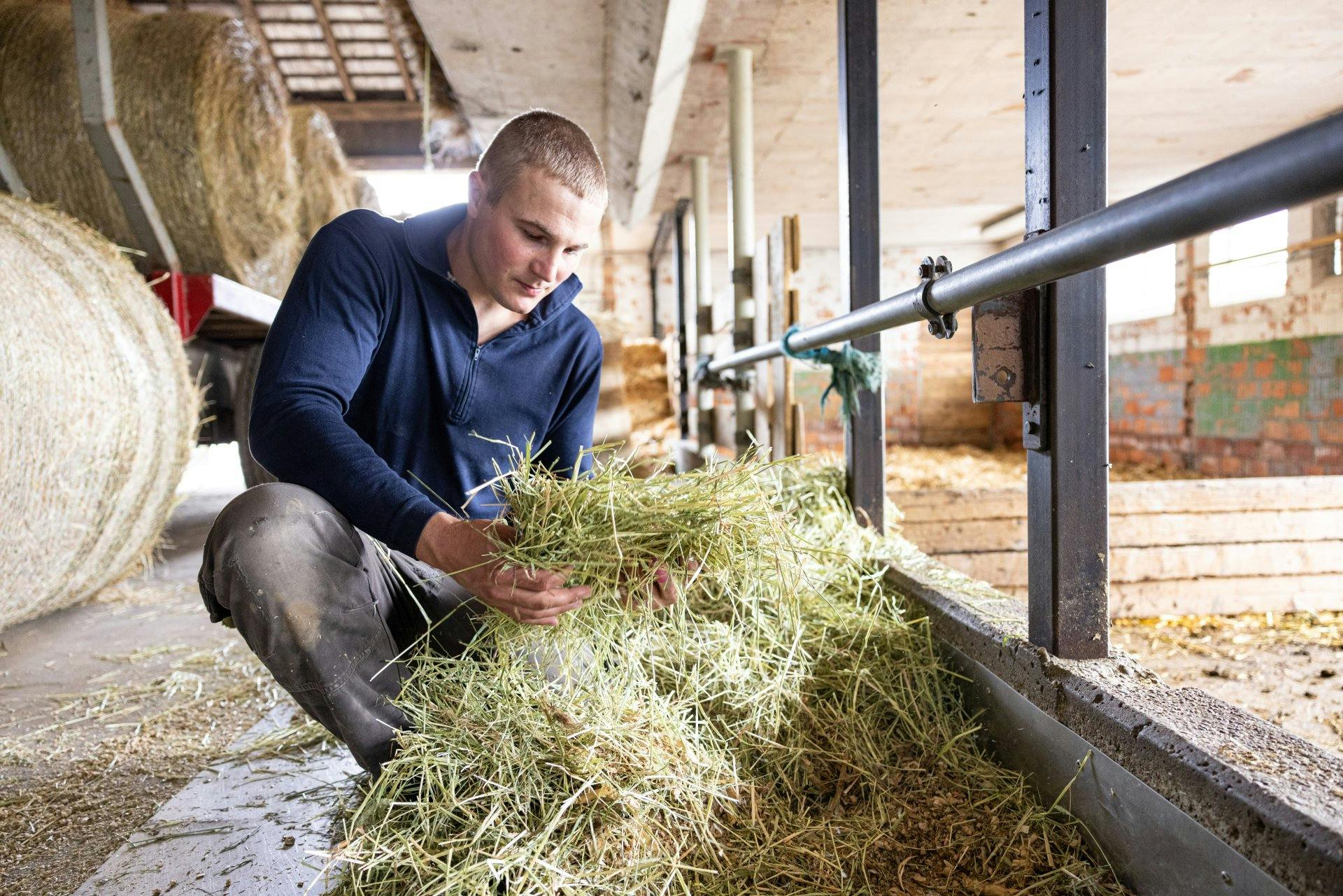 Un fourrage de qualité, en grande partie produit par eux-mêmes: ce que mangent les animaux a une grande influence sur la qualité de la viande.
