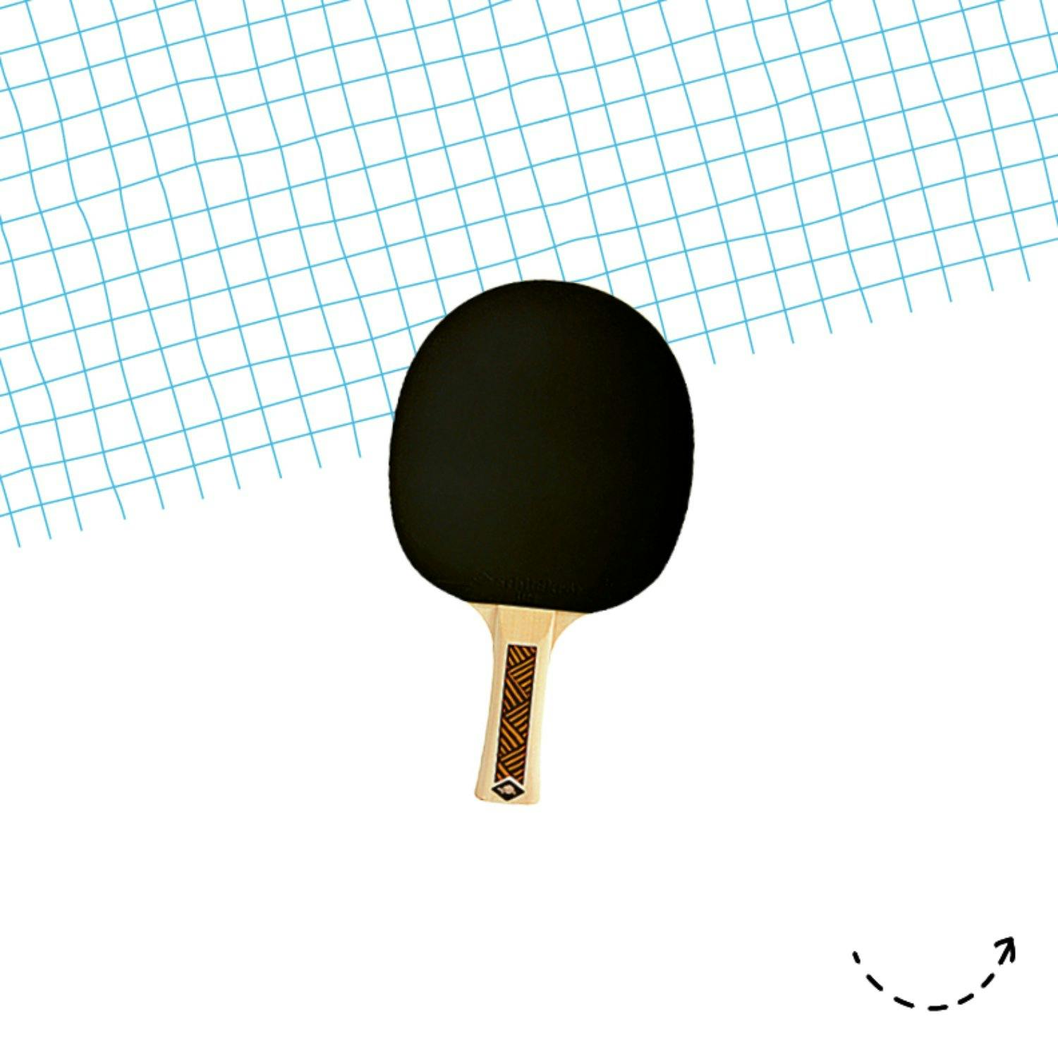 Schlägerchen: Donic-Schildkröt Pingpong Schläger Camps Line 300, 14.95 Franken, bei Coop City.