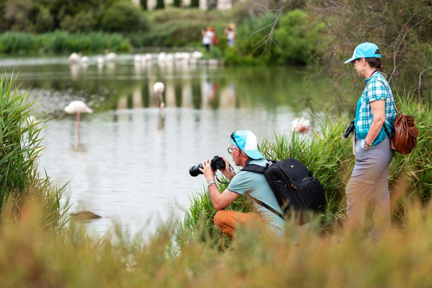 An Land gibt es auch viel zu entdecken.