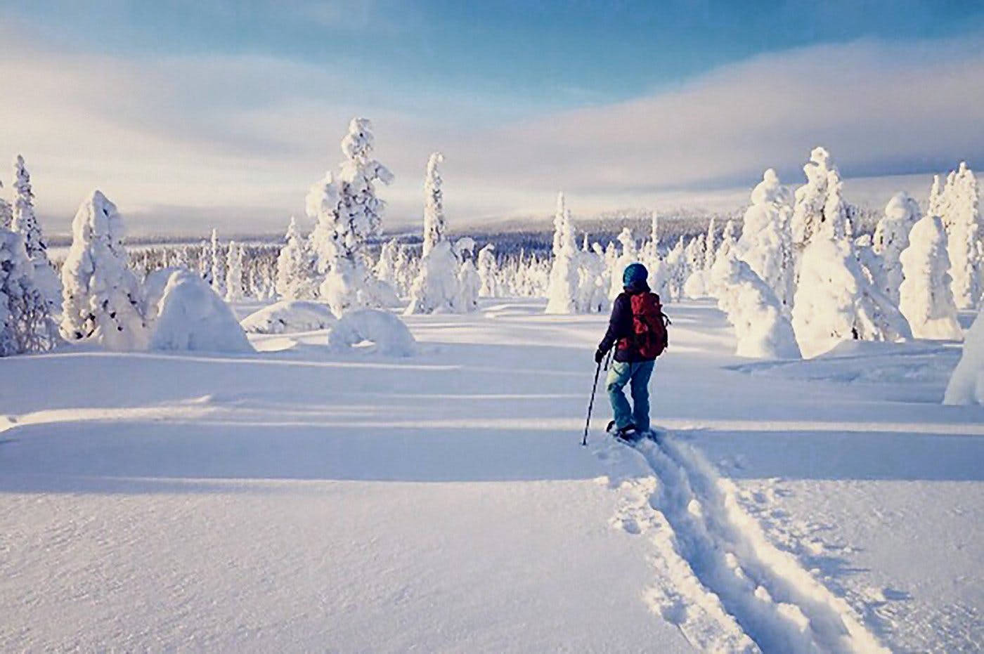 auf Schneeschuhen durch dick verschneite Felder und Wälder,