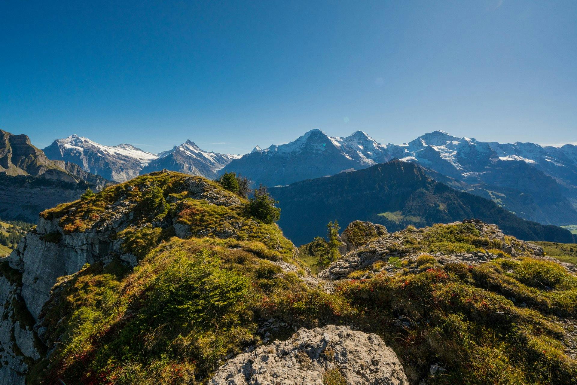 Herbstgenuss mit Blick auf die Gipfel des Berner Oberlandes.