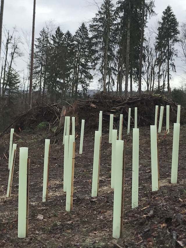 Plastik statt Natur?