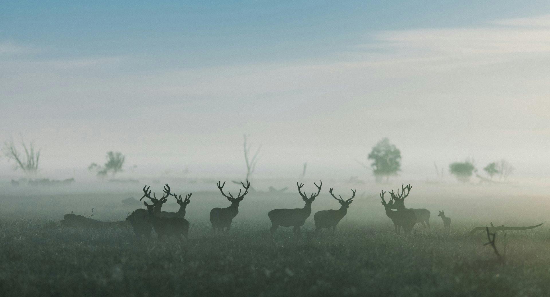 Ahoi, Norderney! Im Norden wirds mystisch.