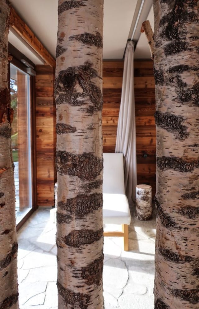 Le spa est décoré avec des bouleaux.